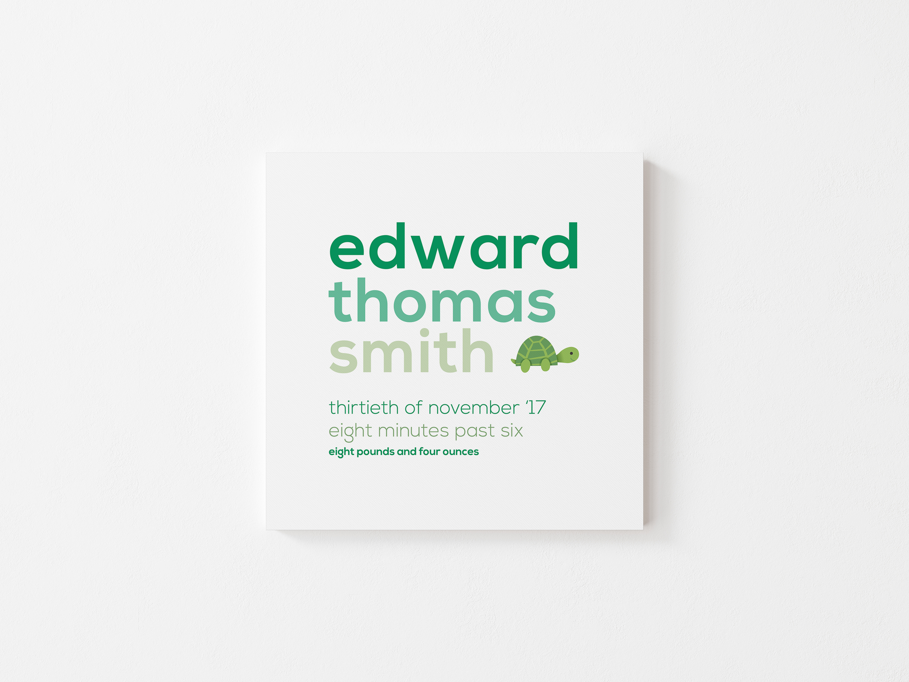 Turtle Newborn Print - Image 3